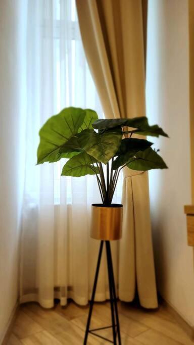Golden Apartment Bosacka Krakow Old Town 2 Rooms Bagian luar foto